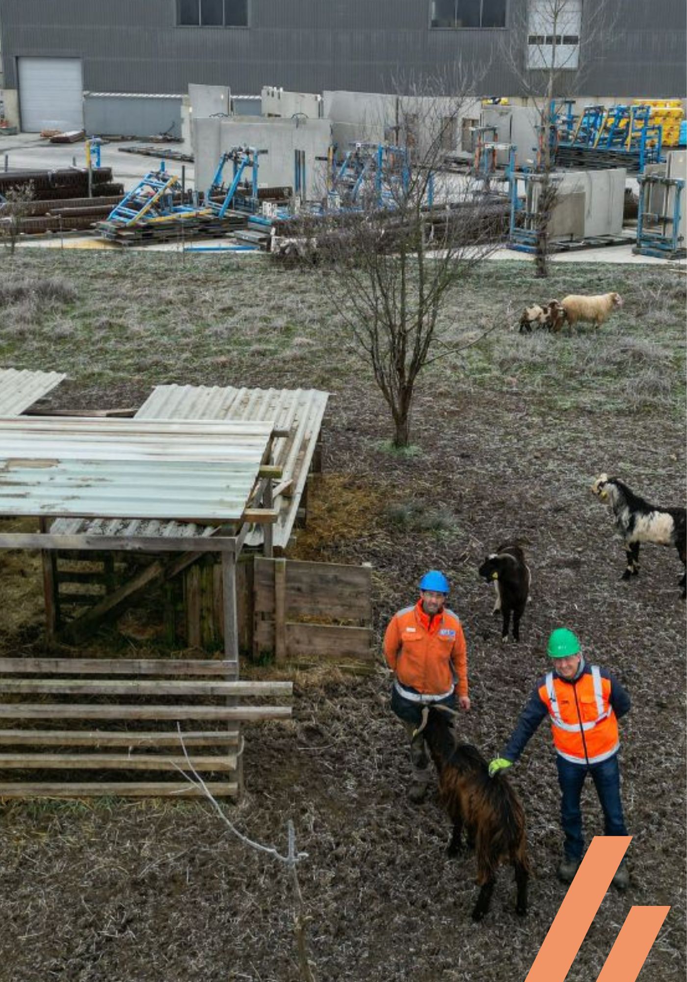 Pastoralisme et industrie - Démarche RSE KP1